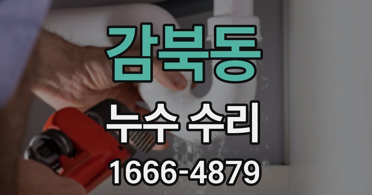 감북동 누수 수리