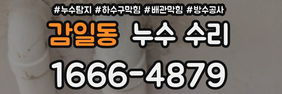 감일동 누수 수리