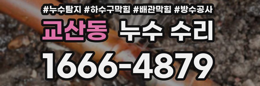 교산동 누수 수리