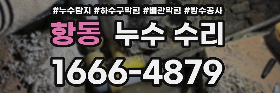 항동 누수 수리