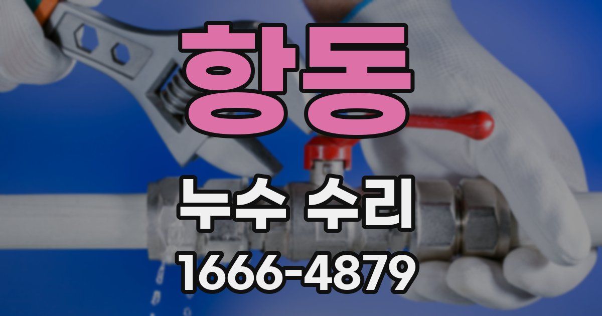 항동 누수 수리