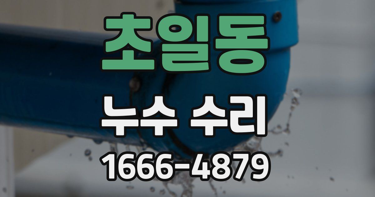 초일동 누수 수리