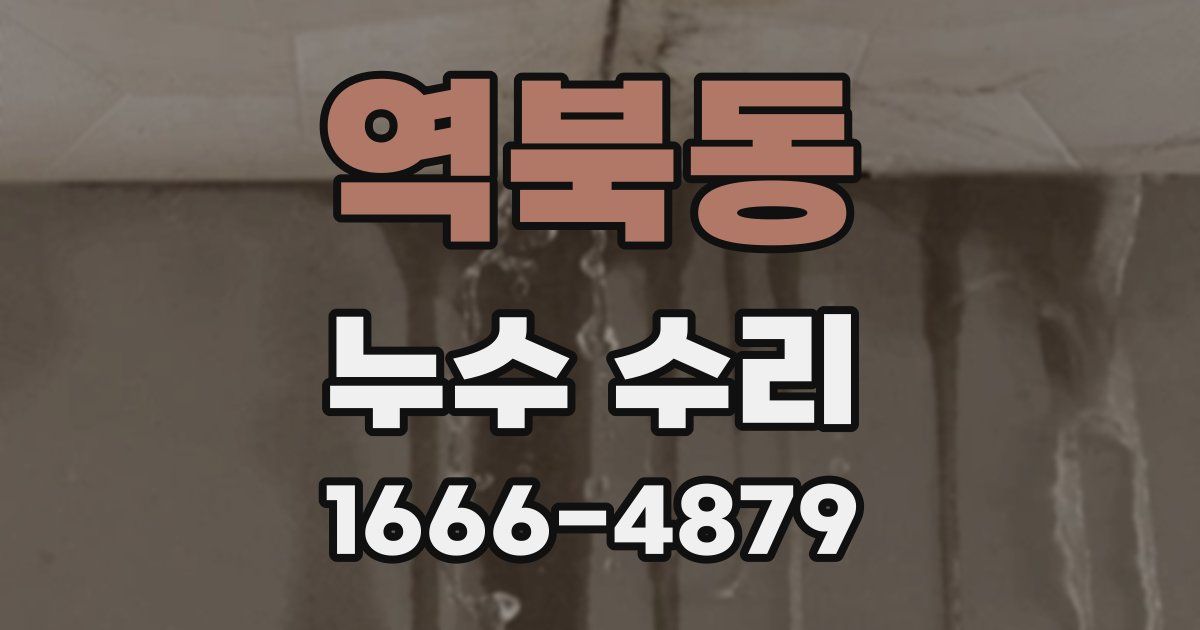 역북동 누수 수리