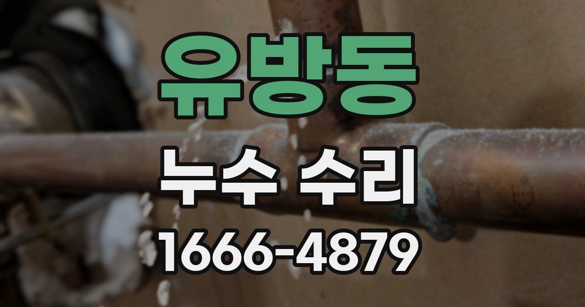 유방동 누수 수리