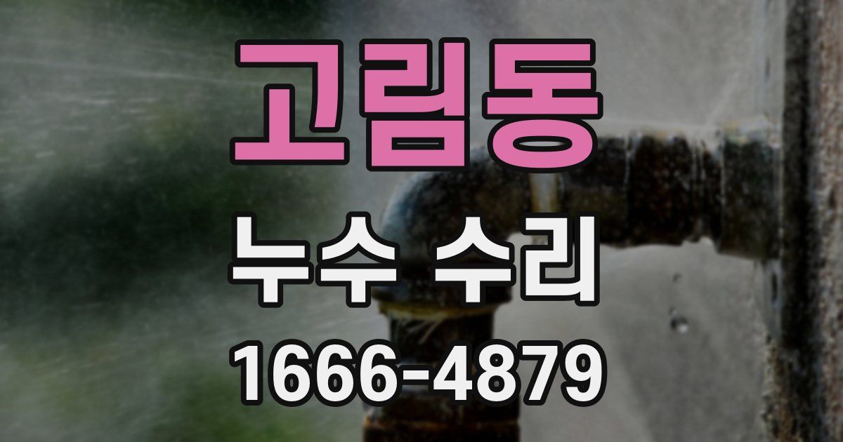 고림동 누수 수리