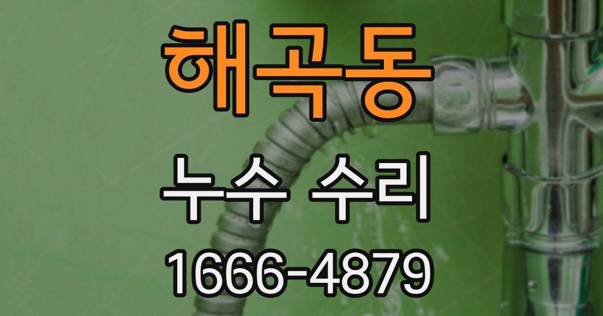 해곡동 누수 수리