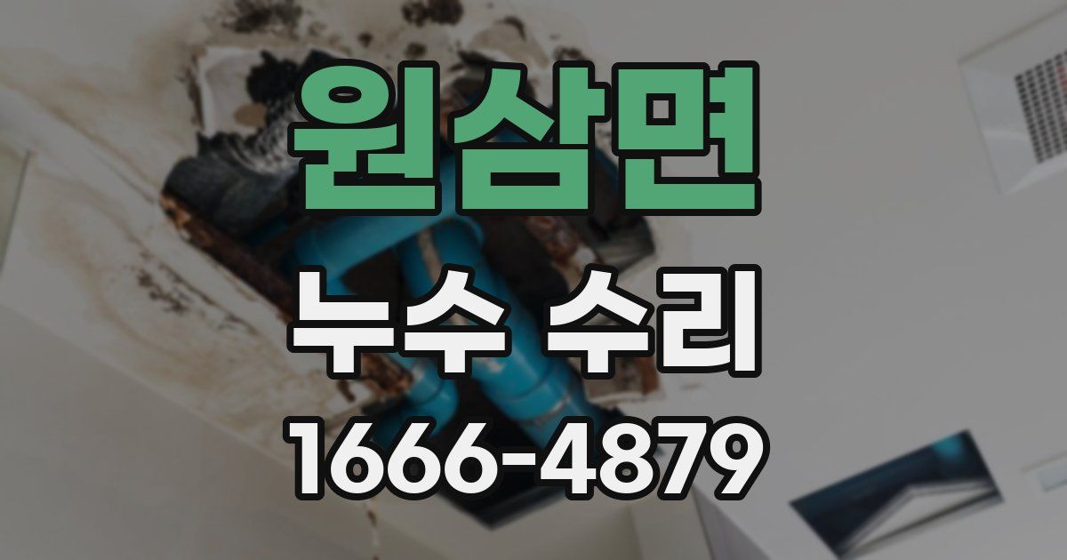 원삼면 누수 수리