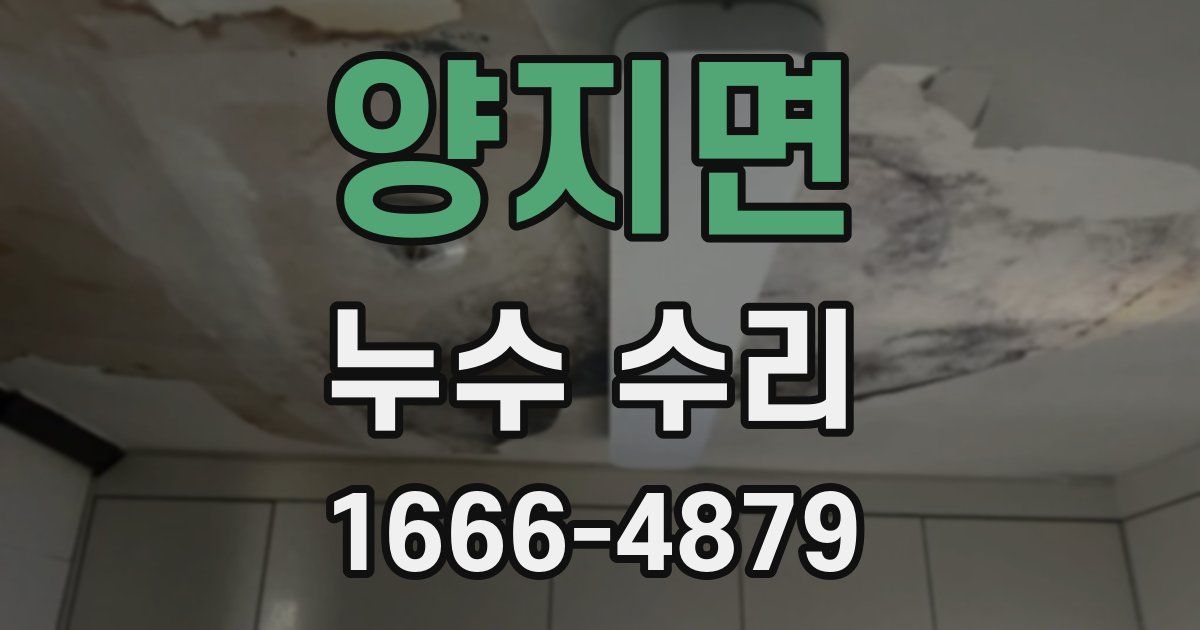 양지면 누수 수리