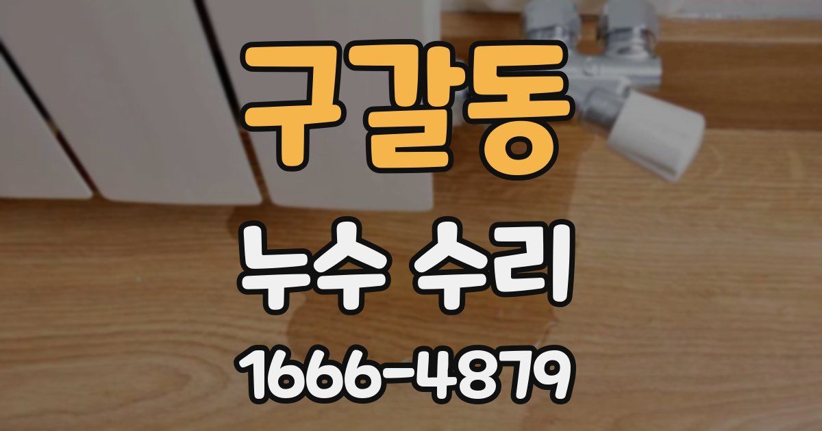구갈동 누수 수리