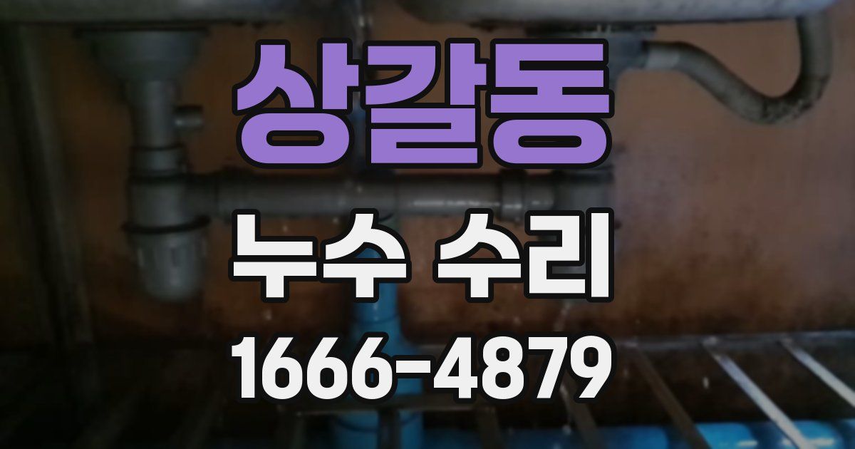 상갈동 누수 수리