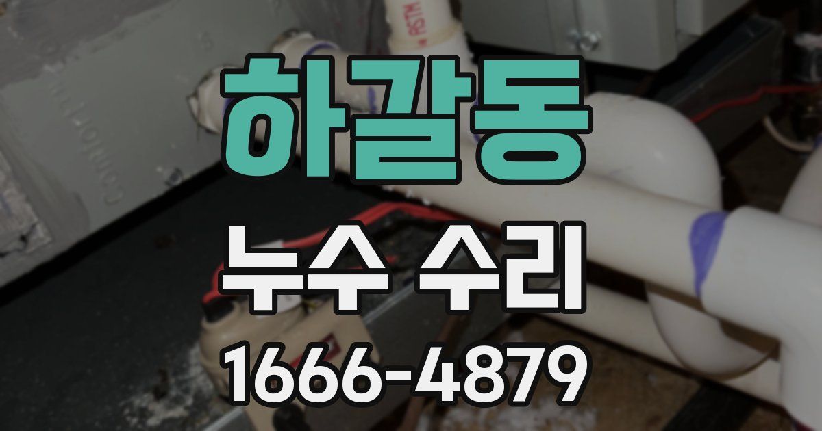 하갈동 누수 수리