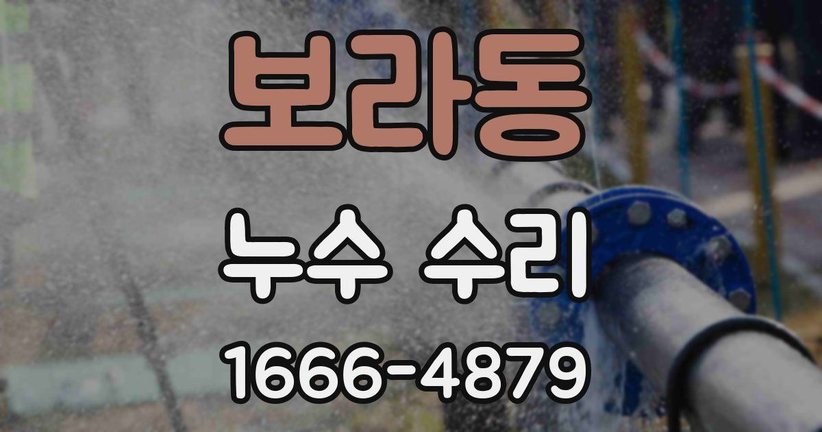 보라동 누수 수리