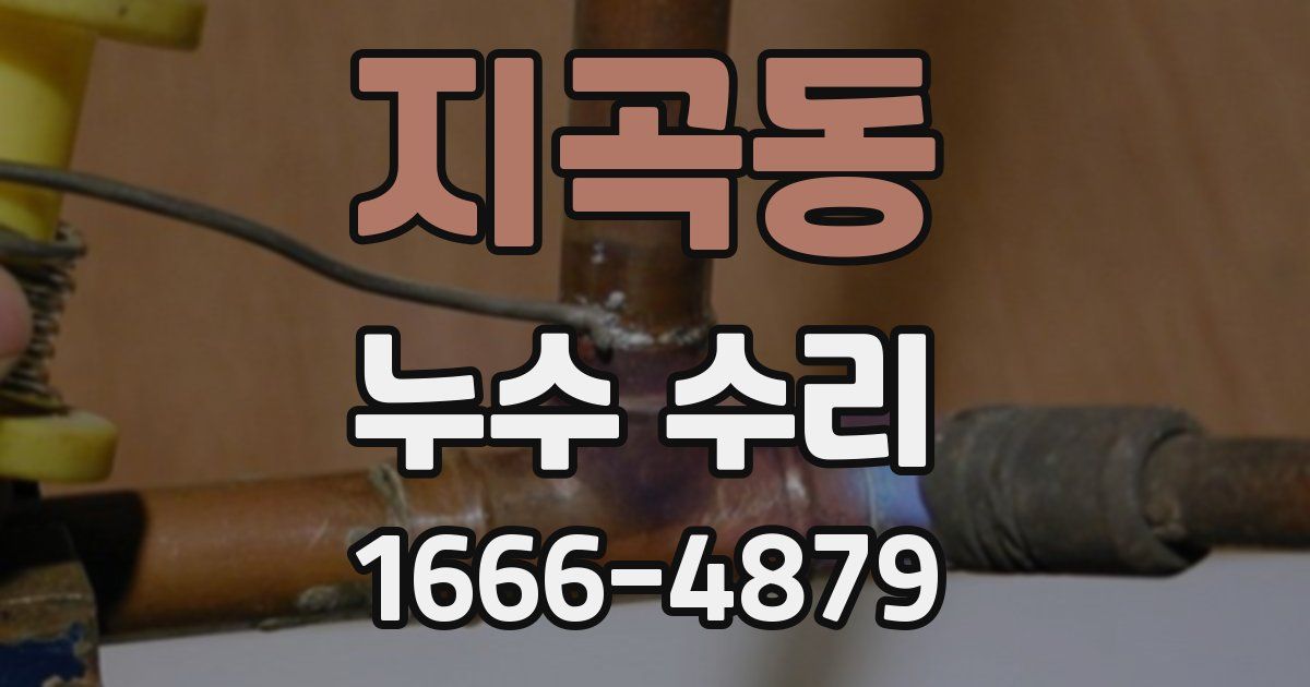 지곡동 누수 수리