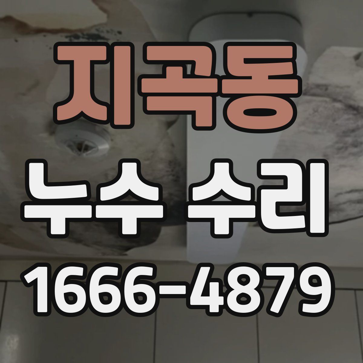 지곡동 누수 수리