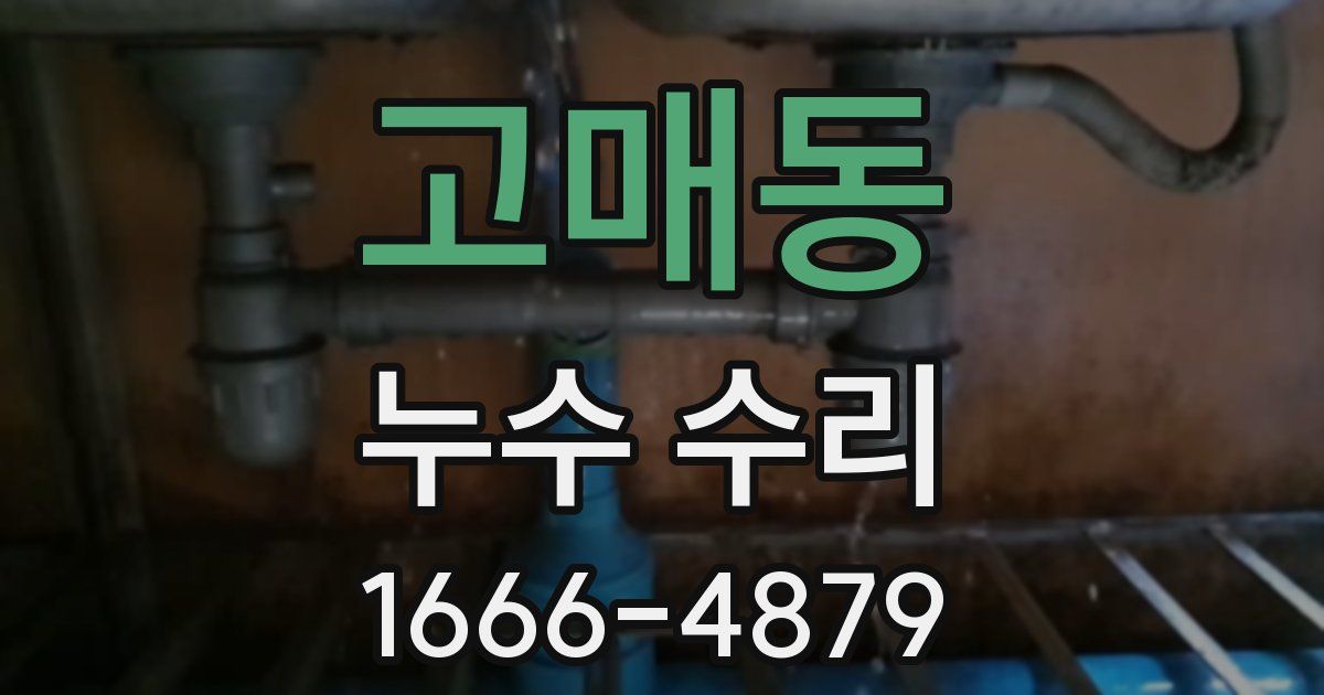 고매동 누수 수리