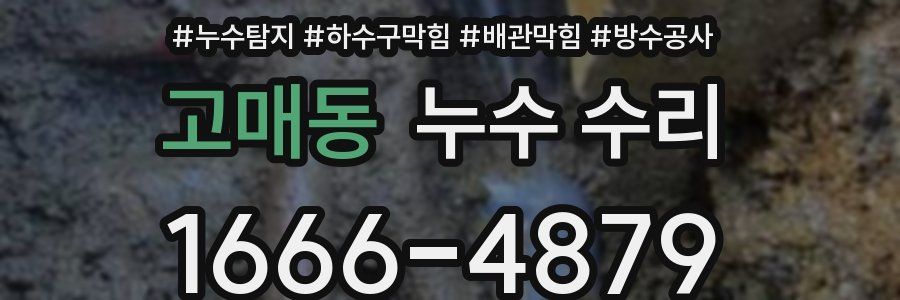 고매동 누수 수리