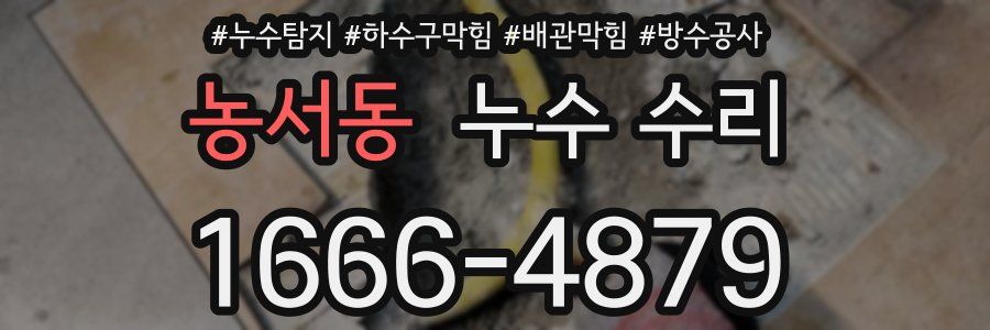 농서동 누수 수리