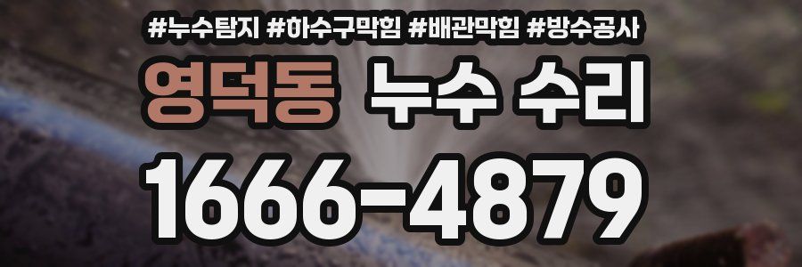영덕동 누수 수리