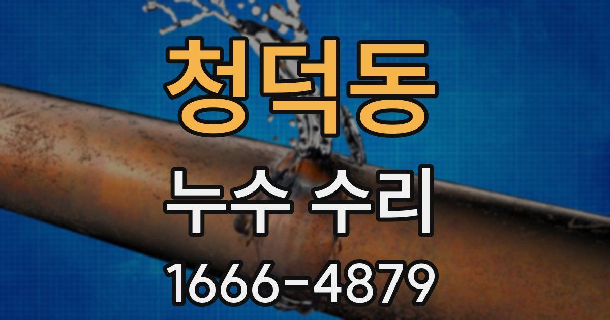 청덕동 누수 수리
