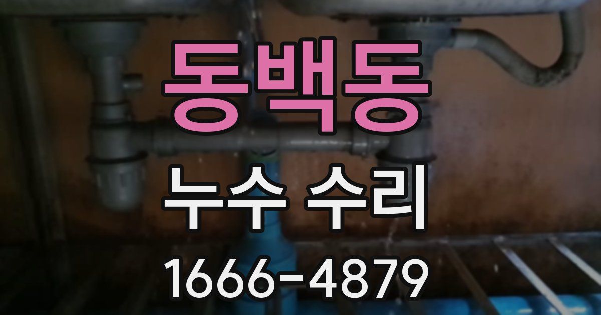 동백동 누수 수리