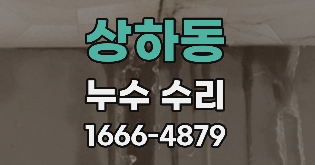 상하동 누수 수리