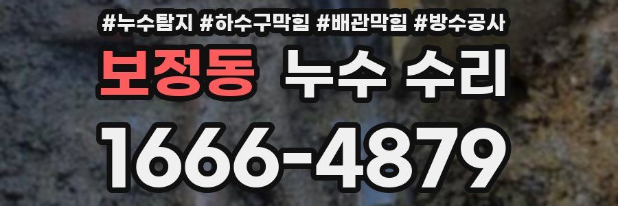 보정동 누수 수리