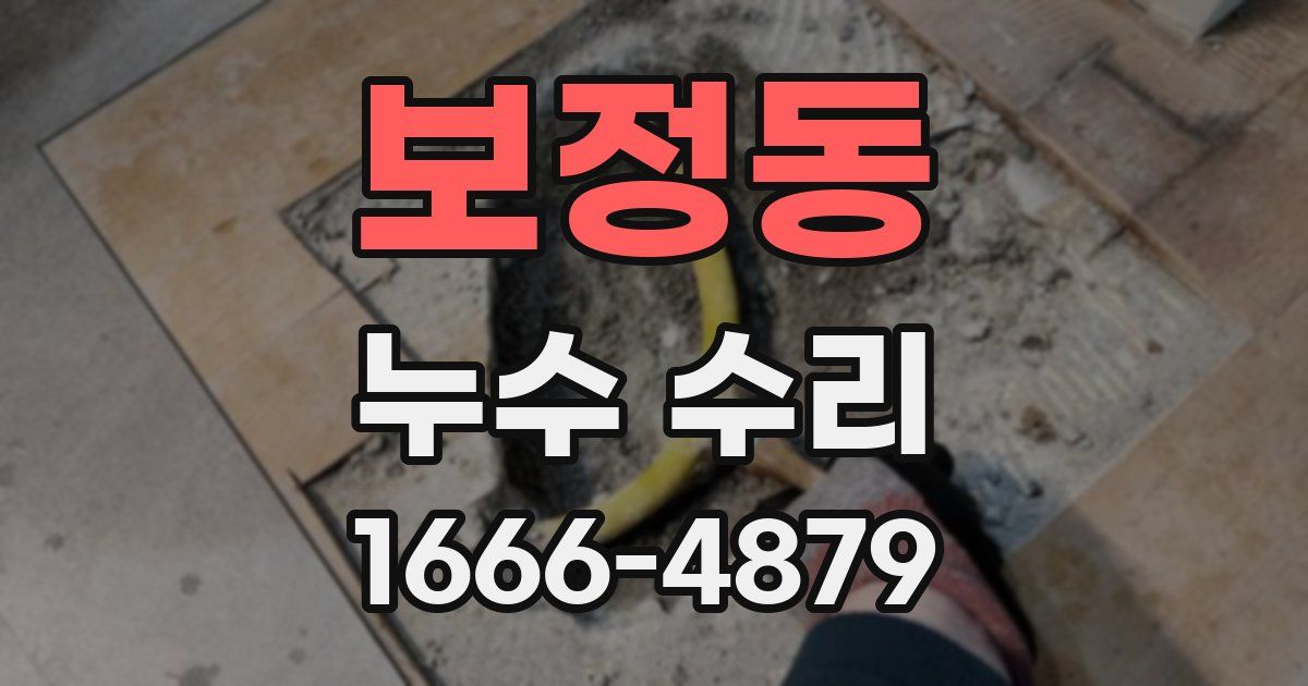보정동 누수 수리