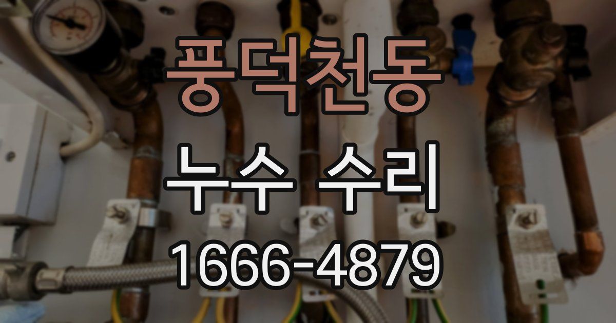 풍덕천동 누수 수리