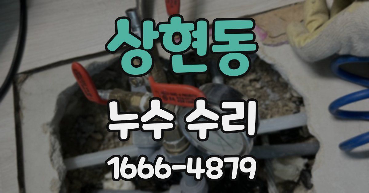 상현동 누수 수리
