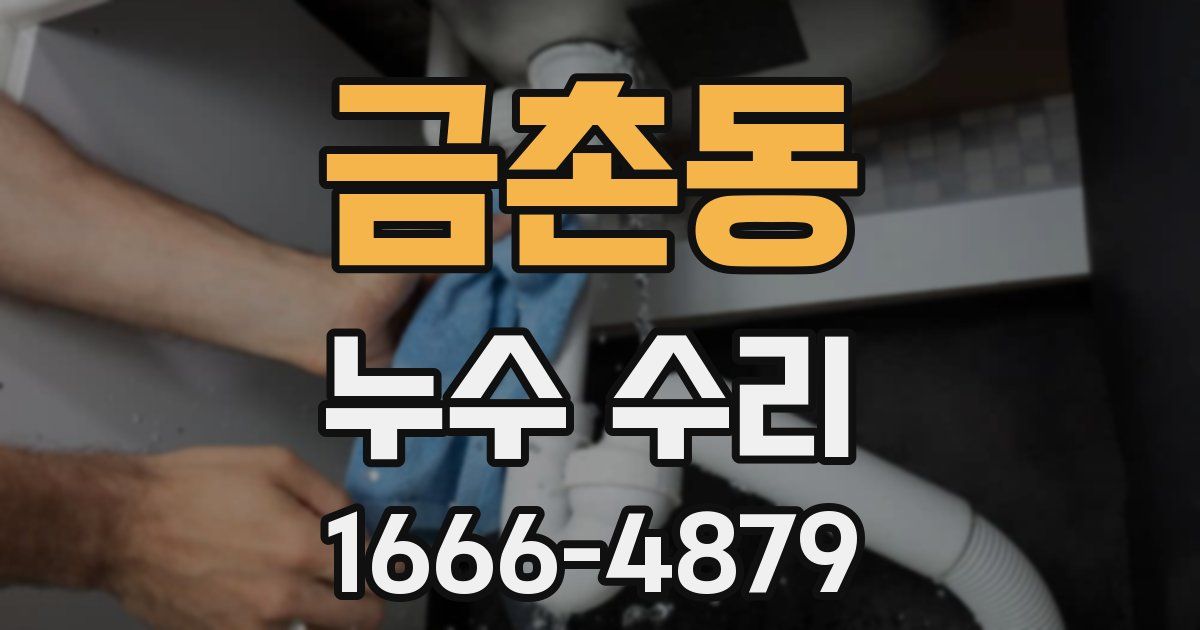 금촌동 누수 수리