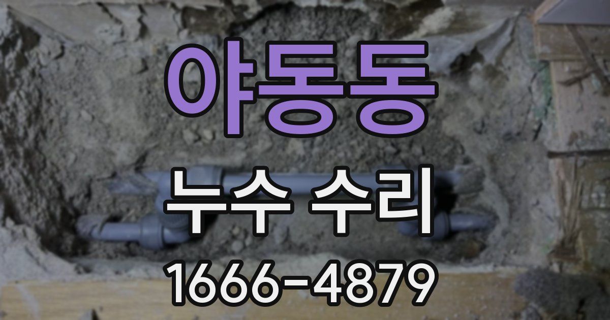 야동동 누수 수리