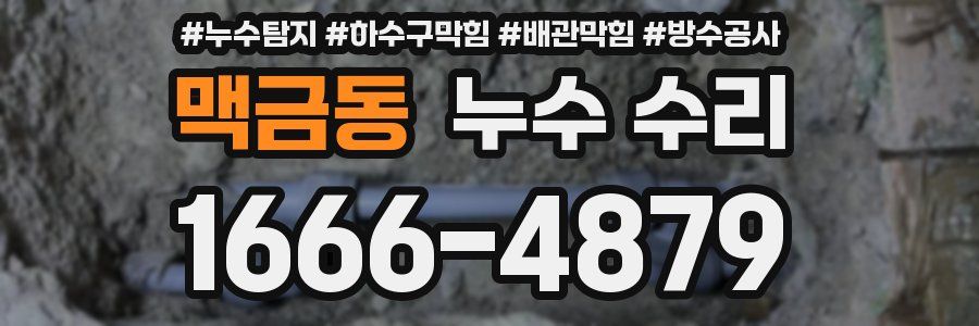 맥금동 누수 수리
