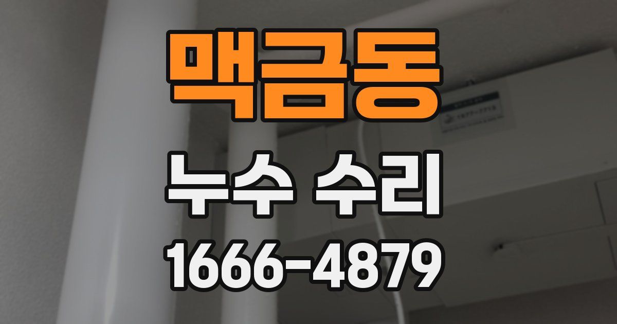맥금동 누수 수리