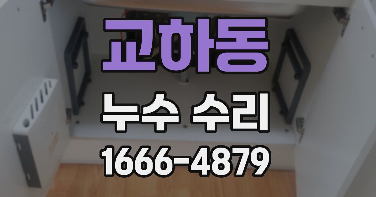 교하동 누수 수리