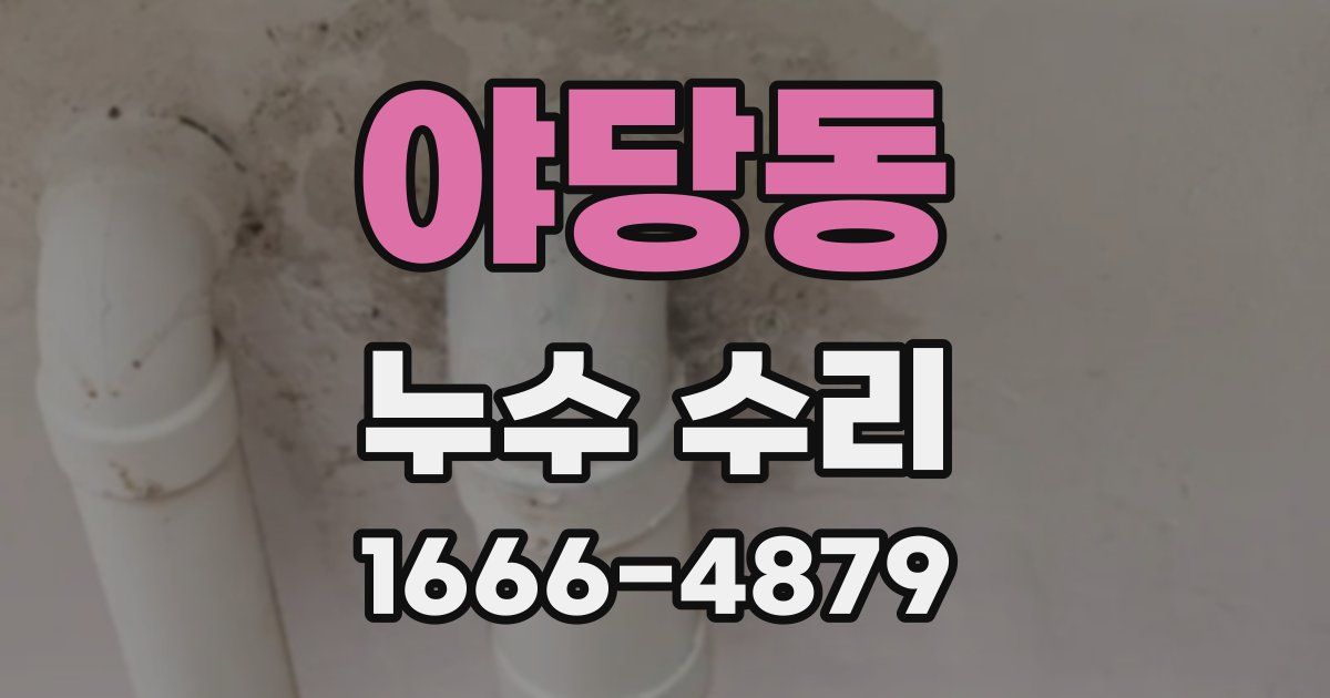 야당동 누수 수리