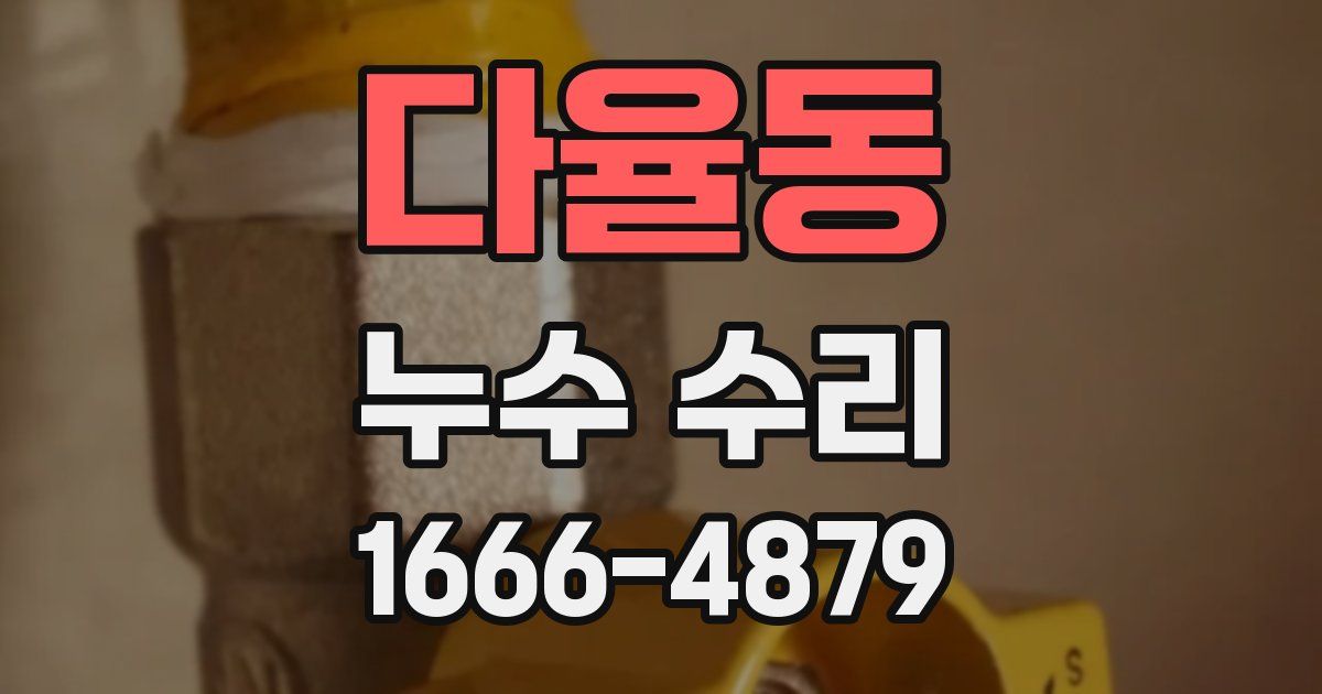 다율동 누수 수리