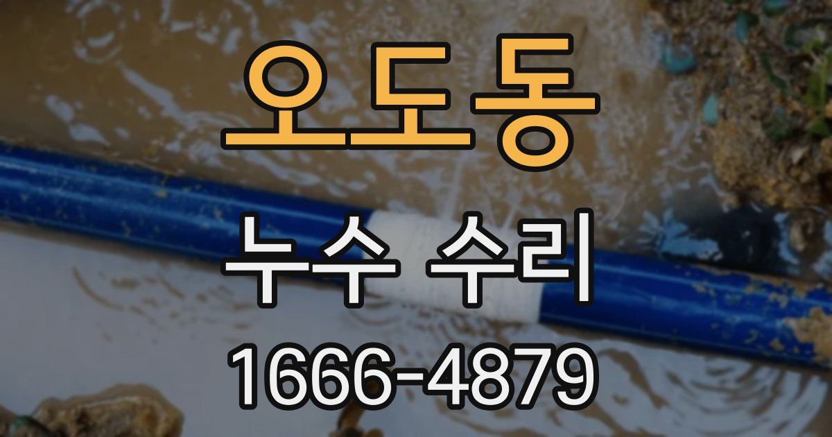 오도동 누수 수리