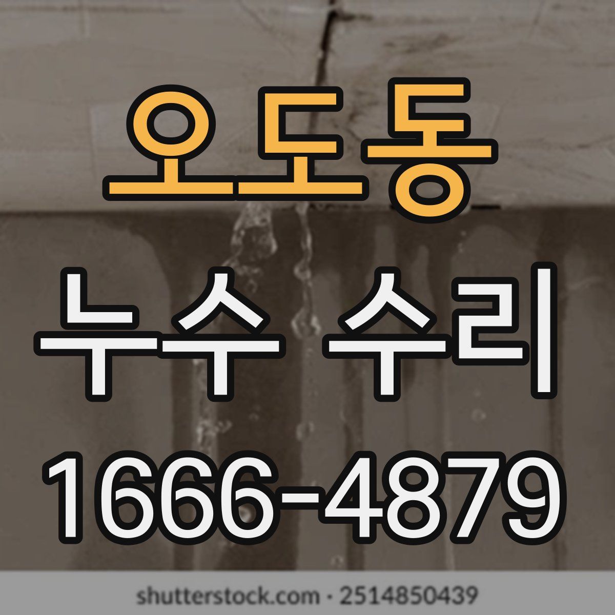 오도동 누수 수리
