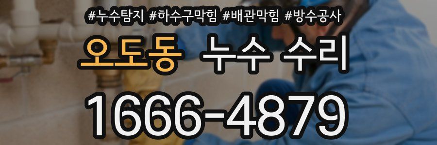 오도동 누수 수리