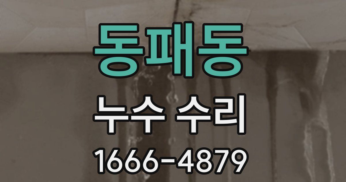동패동 누수 수리