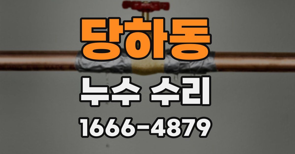당하동 누수 수리