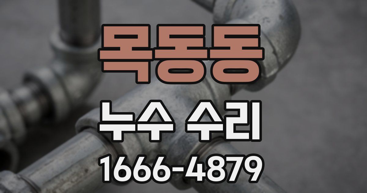 목동동 누수 수리
