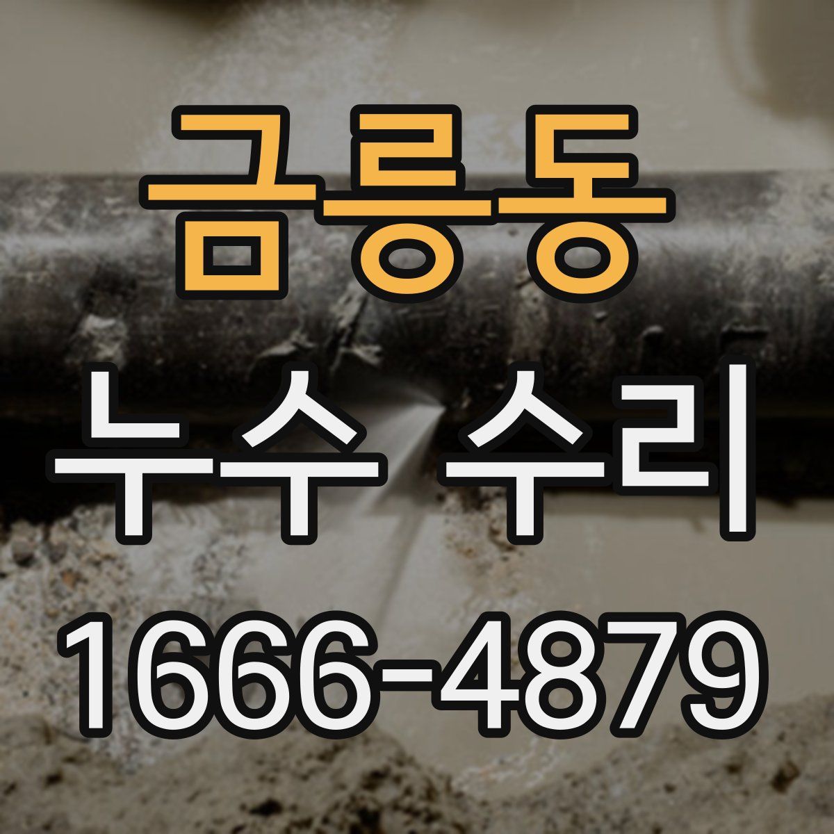 금릉동 누수 수리