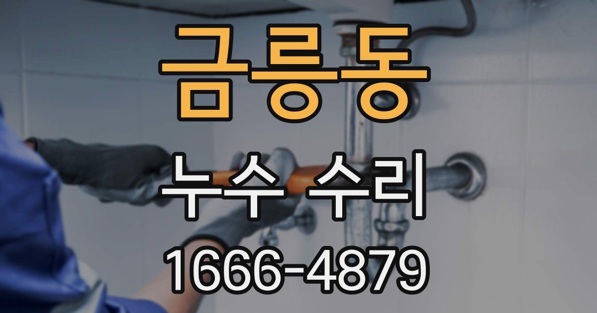 금릉동 누수 수리