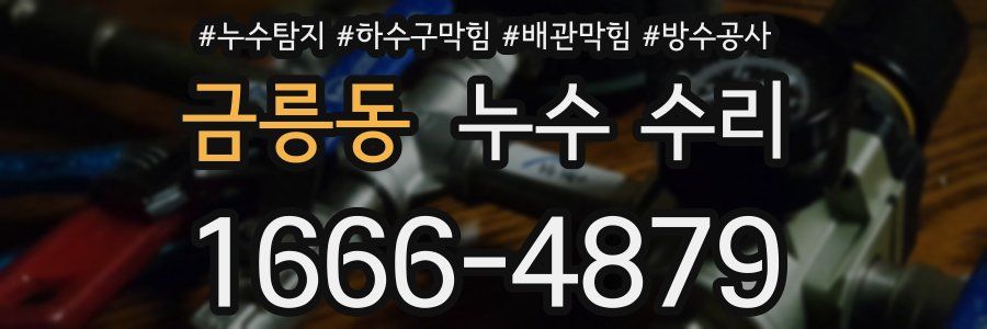 금릉동 누수 수리