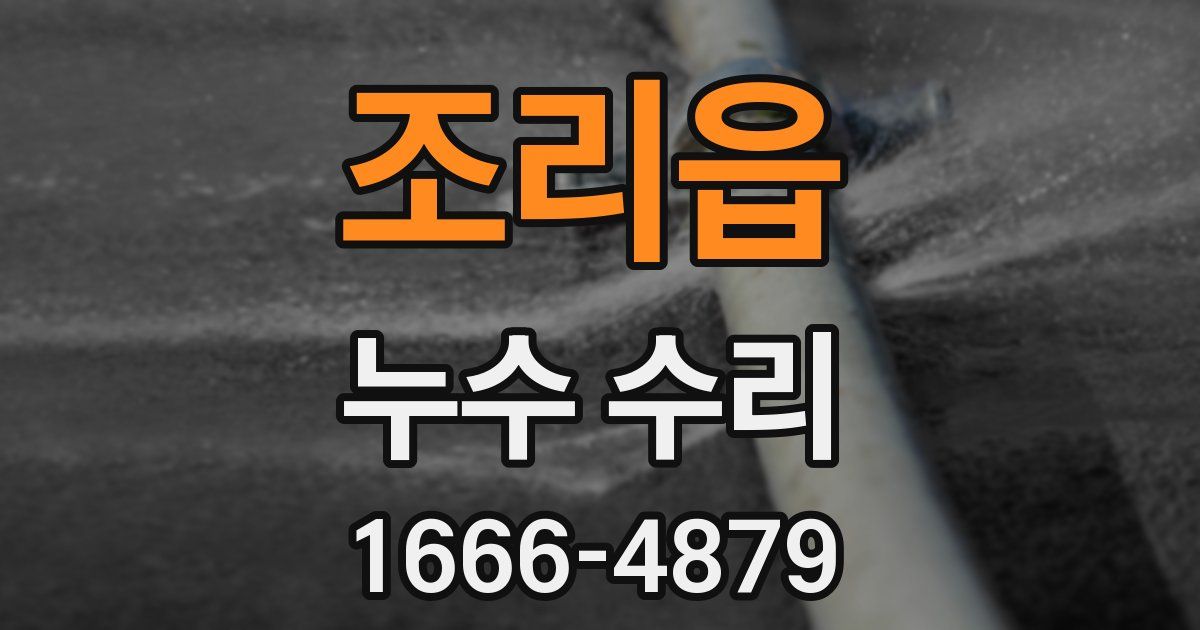 조리읍 누수 수리