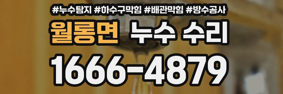 월롱면 누수 수리