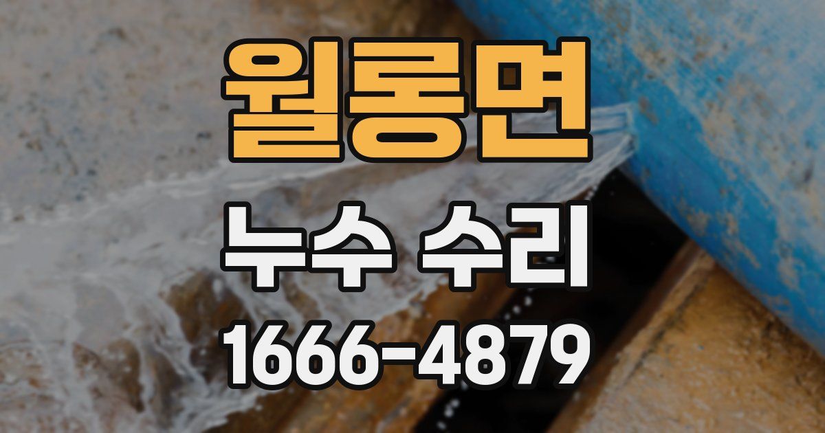 월롱면 누수 수리