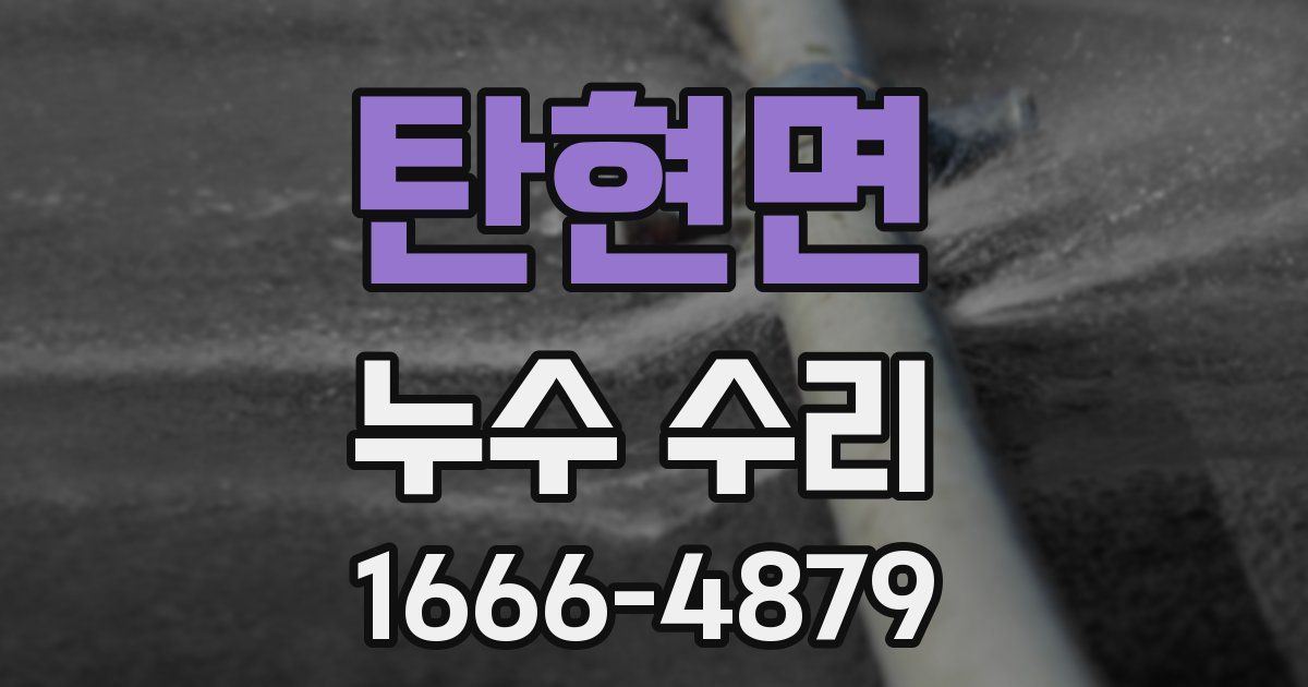 탄현면 누수 수리