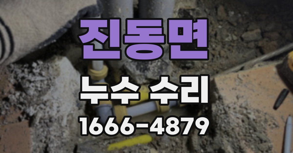 진동면 누수 수리